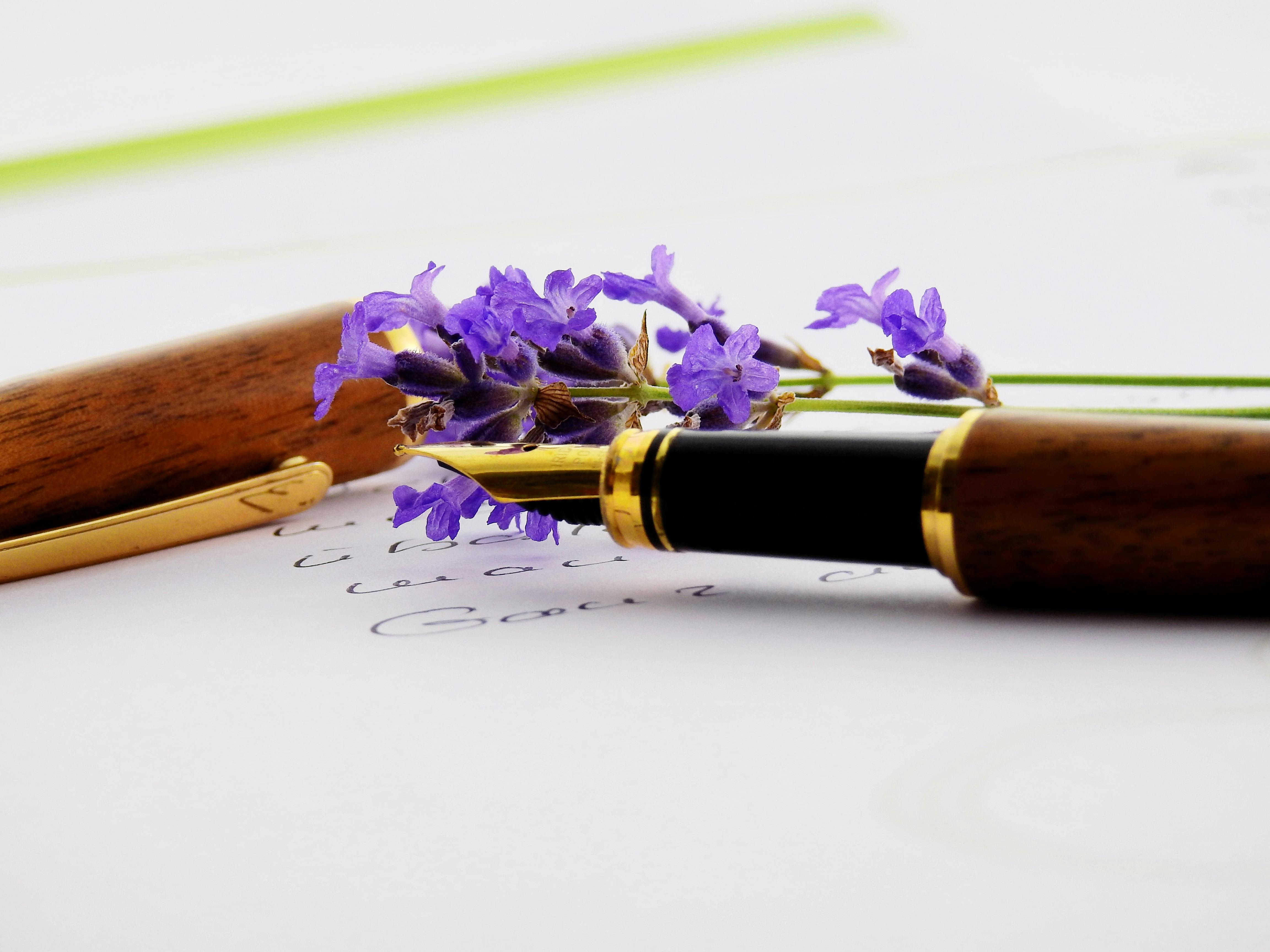 Close-up of a fountain pen with lavender on paper, perfect for writing and floral themes.
