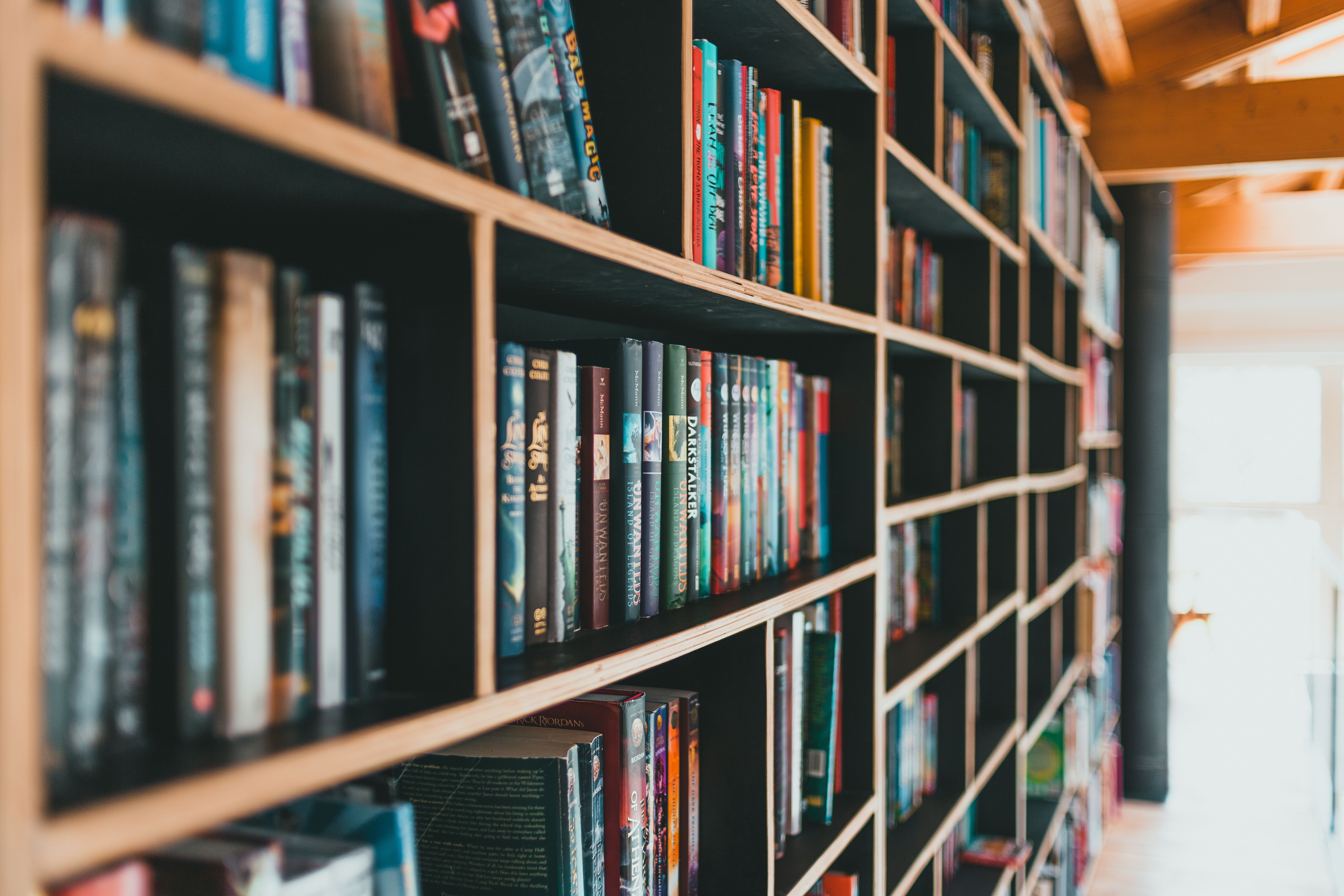 Colorful books neatly arranged on modern shelves in a bright library.